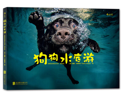 

狗狗水底游