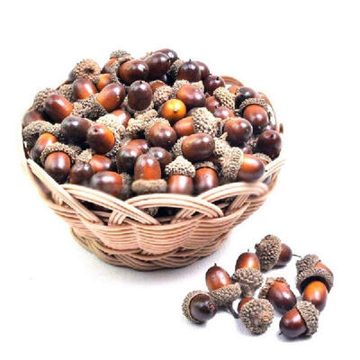 

UpperX 20pcs Artificial Acorns for Autumn Display Wedding Party Holiday Miniature Garden Candy Boxes Bag Venue Decoration Craft