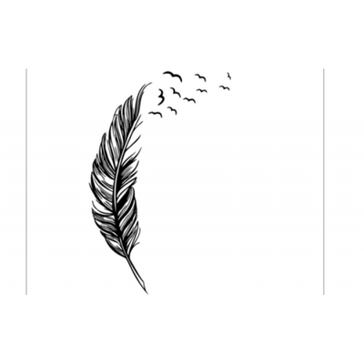 

Removable Vinyl Decal Wall Birds Flying Feather Decal DIY Sticker
