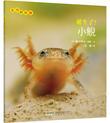 

生命的故事诞生了小鲵