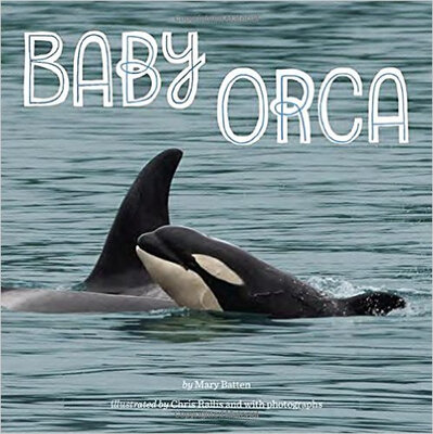 

Baby Orca