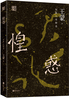 

王蒙精选集：惶惑