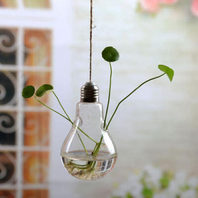 

Flower Hanging Vase Glass Planter Plant Terrarium Container Home Wedding Decor