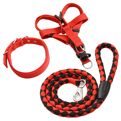 

Parrot dog chain dog rope small dog medium dog large dog pet dog leash dog hyena rope with chest strap collar gold hair Teddy dog chain red black three-piece