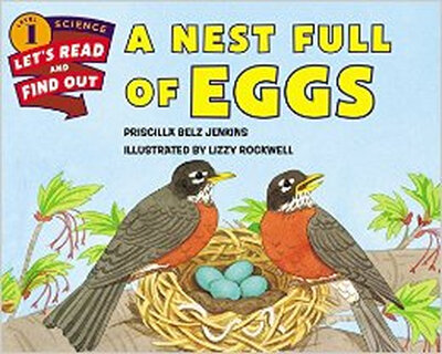 

A Nest Full of Eggs