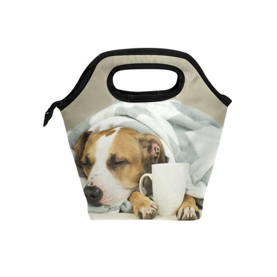 

Lunch Bag Tote Bag Cup Dog Travel Picnic Organizer Lunch Holder Handbags Lunch Bag Box for Office