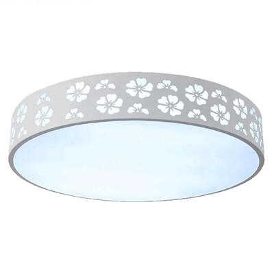 

LED Ceiling lamp ZM1711-1010