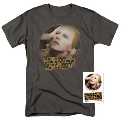 

David Bowie Rock Album Cover T Shirt