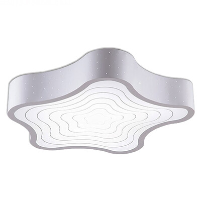 

LED Ceiling lamp ZM1711-1056