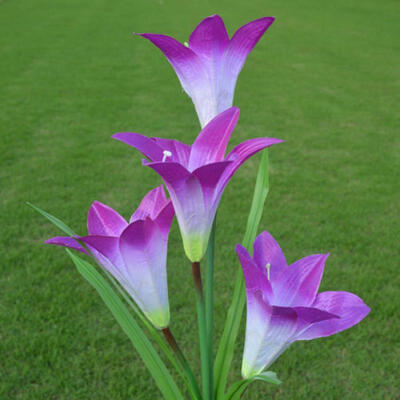 

Outdoor Solar Powered Flower Light 4 LED Lily Stake Lamp Home Garden Yard Decor
