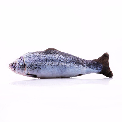 

Simulation Big Fish Cat Toy