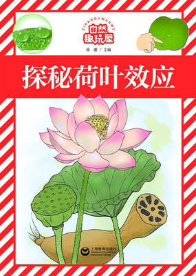 

探秘荷叶效应
