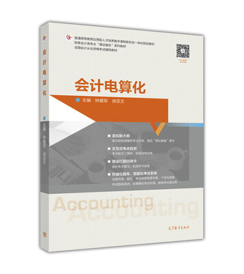 

会计电算化