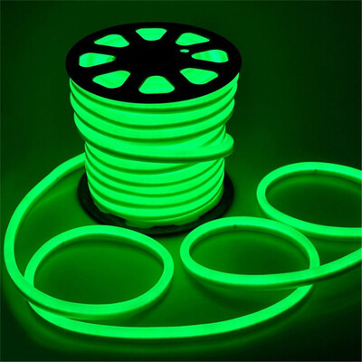 

YWXLight 5M LED Strip Flexible Neon Lights Waterproof LED Light Lamp AC 220 - 240V