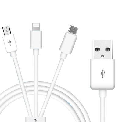 

PISEN USB Type-C Charging and data transferring cable
