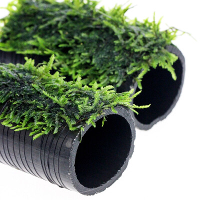 

Qi Yi natural big triangle Moss bamboo charcoal tube aquarium fish tank made Moss water grass triangular Moss bamboo charcoal tube 2 loaded