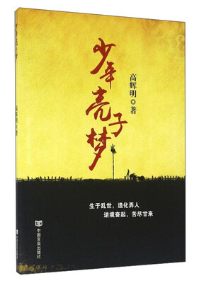 

少年亮子梦