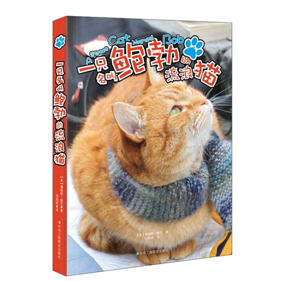 

一只名叫鲍勃的流浪猫升级版