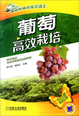 

高效种植致富直通车·葡萄高效栽培