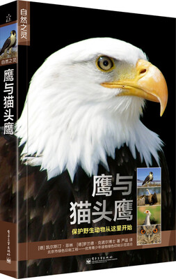 

自然之灵 鹰与猫头鹰（全彩）