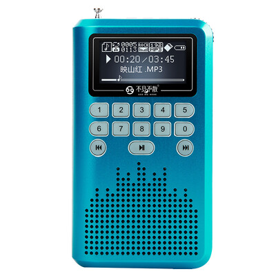 

See me here LV290 metal portable card loudspeaker big screen night view of the elderly radio mini mini sound champagne gold