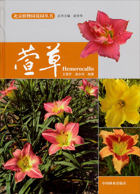 

北京植物园花园丛书：萱草