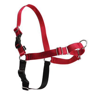 

PetSafe Easy Walk * Explosion-proof red chest with red plus small code EWH-HC-P-RED