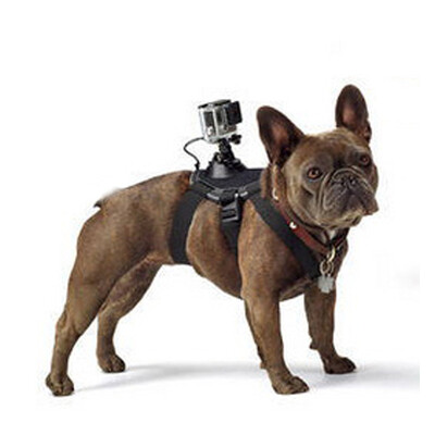 

KYOTSU King GoPro hero4 / 3 + 40 meters waterproof shell dedicated underwater diving filter red