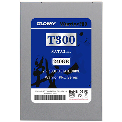 

Gloway SSD