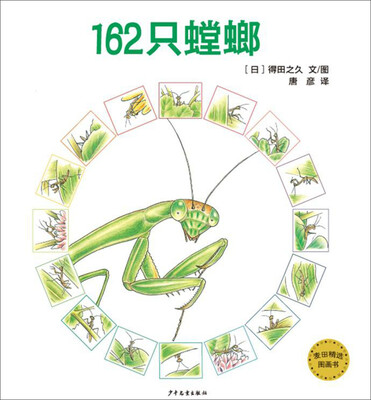 

麦田精选图画书 162只螳螂