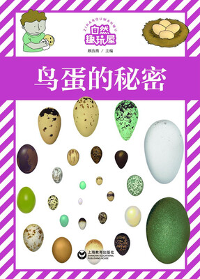

鸟蛋的秘密