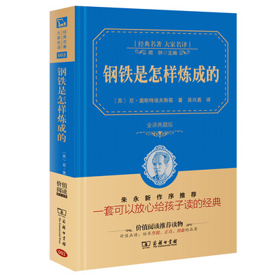 

钢铁是怎样炼成的 经典名著 大家名译（新课标 无障碍阅读 全译本精装 ）