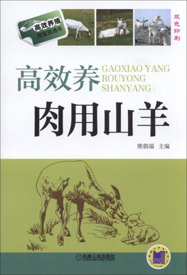 

高效养肉用山羊