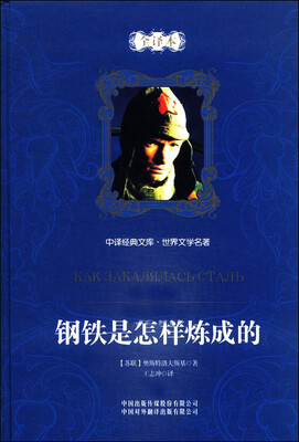 

中译经典文库·世界文学名著：钢铁是怎样炼成的（全译本）