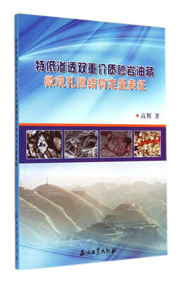 

特低渗透双重介质砂岩油藏微观孔隙结构定量表征