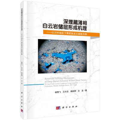 

深埋藏滩相白云岩储层形成机理以川中地区下寒武统龙王庙组为例