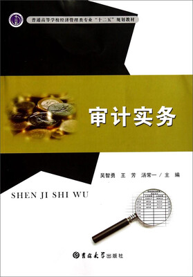 

审计实务/普通高等学校经济管理类专业“十二五”规划教材