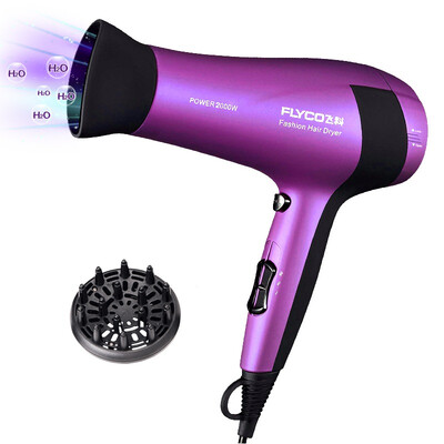 

FLYCO Anion Function Hair Dryer Professional Styling Tools 2000W