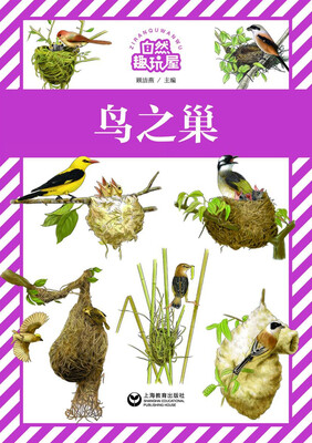 

鸟之巢