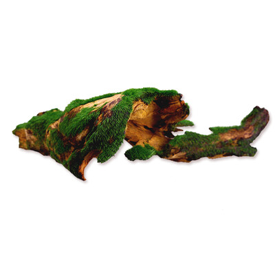 

Qiyi natural flocking cauldron fish tank aquarium landscaping decoration flocking sampson S P-351