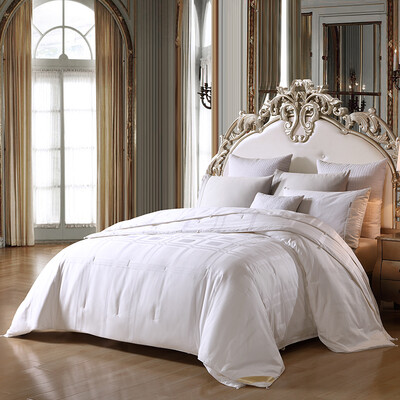 

[Jingdong Supermarket] Meng Jie home textiles produced MAISON by the core of the silk Yang silk jacquard silk MIX child was four seasons quilt 1.5 m bed 200 * 230cm