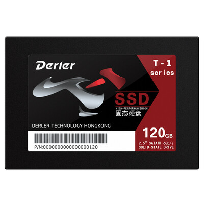 

Derler T1 Series 120G Solid State Drive