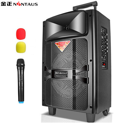 

Jinzheng NINTAUS N16 double 5 inch square dance audio Bluetooth outdoor lever speaker portable microphone