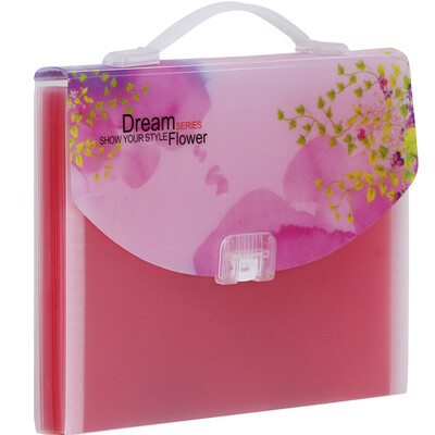 

Jindeli (KINARY) DC1402 13 grid A4 organ bag information file package red