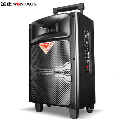 

Jinzheng NINTAUS N3 8 inch square dance audio portable rod battery speaker outdoor portable card audio black