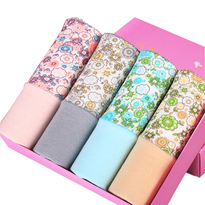 

Playboy 5681 Women&39s Underwear Cotton Women&39s Triangle Underwear Waist Low Angle Underwear 4pcs Multicolor L