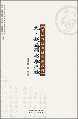 

书法等级考试实训教材：元赵孟頫书胆巴碑