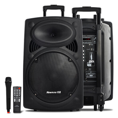 

Newman BW-212 наружный квадратный танец аудио Bluetooth рычаг аудио один микрофон