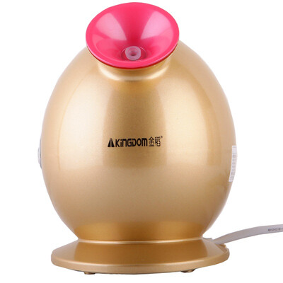 

Gold rice KINGDOM KD-233A ion whitening steam beauty instrument nano-ion whitening rejuvenating steaming surface beauty instrument beauty instrument