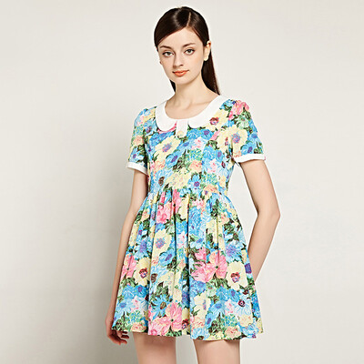 

Голубой портрет (LESIES) талии платья лета складки небольшой цветочный кукла воротник шифон платье LS513663- синий L